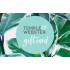 Temple & Webster eGift Card - $100